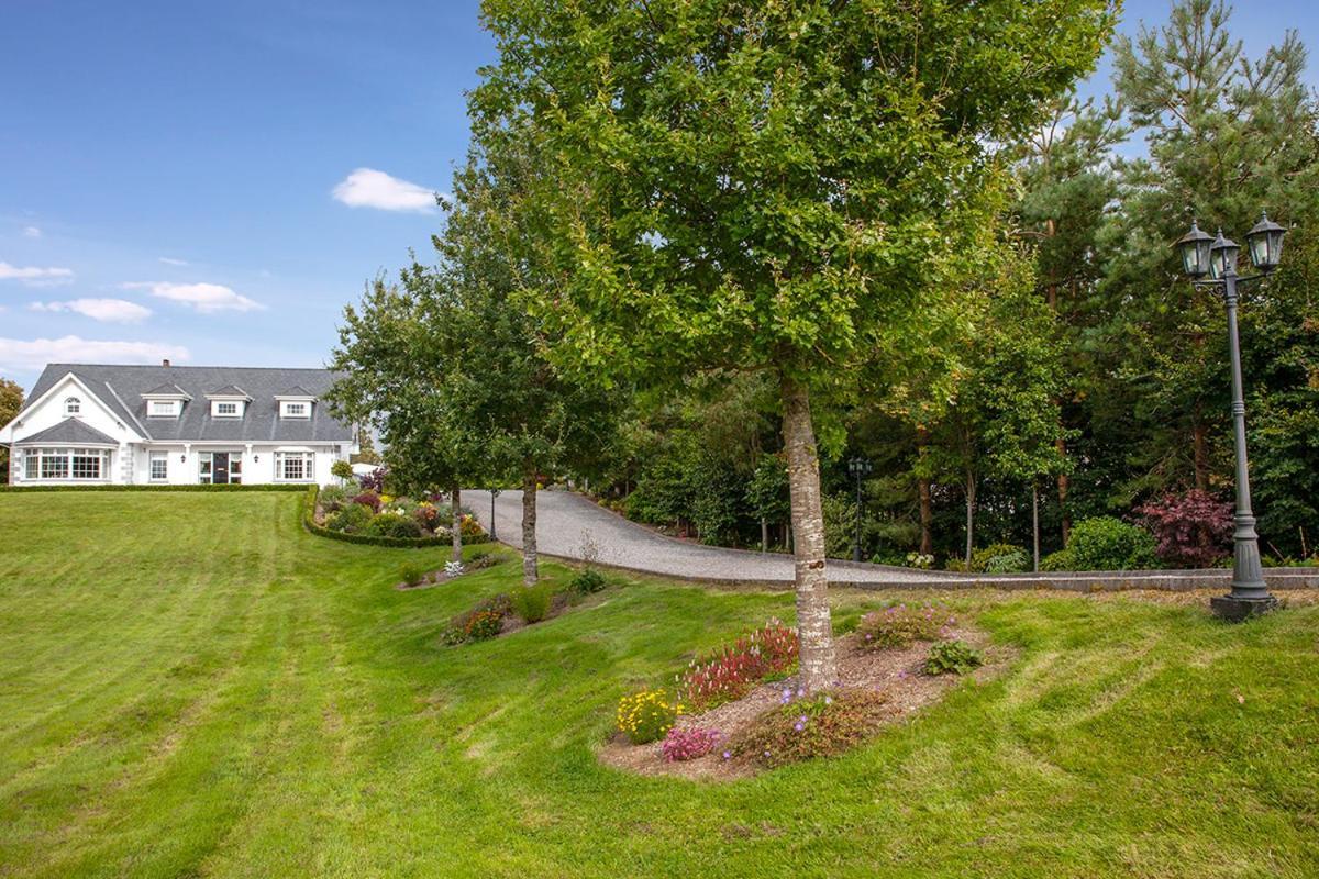 The Ridgewood Lodge Newbridge  Eksteriør billede